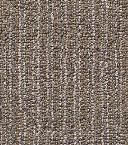 Tide856