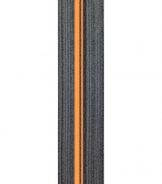 RPF30319