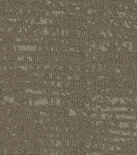 729