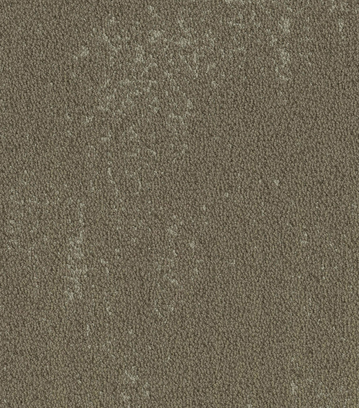 729