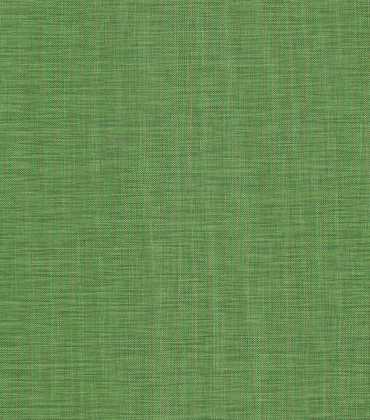 646