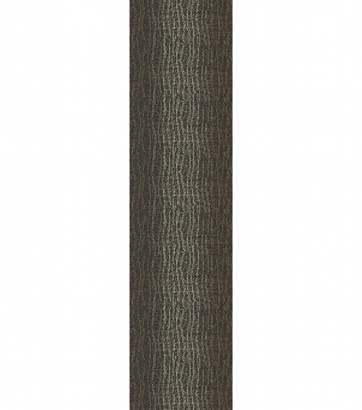 VA31366