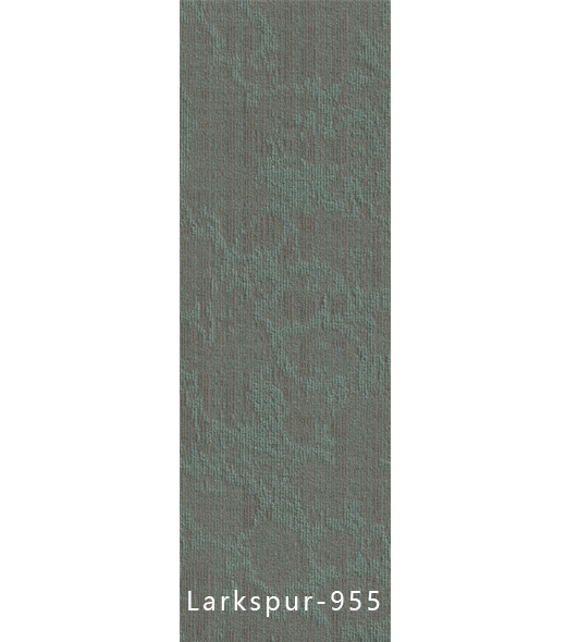 Larkspur-955