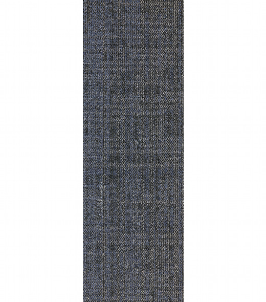 C13121