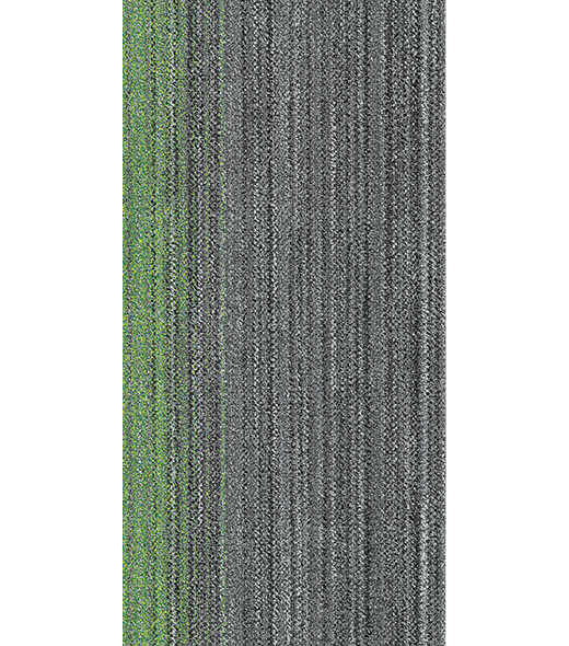 RAY300448