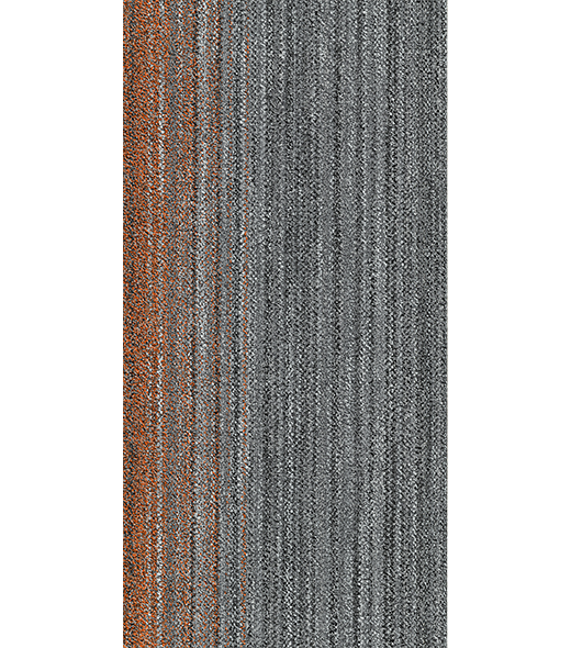 RAY300447