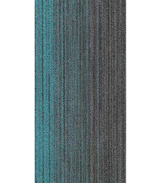 RAY300457