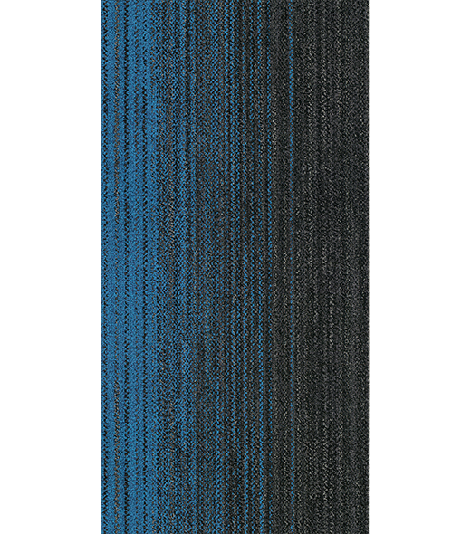 RAY300458