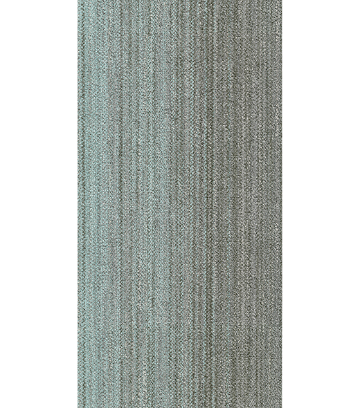 RAY300455