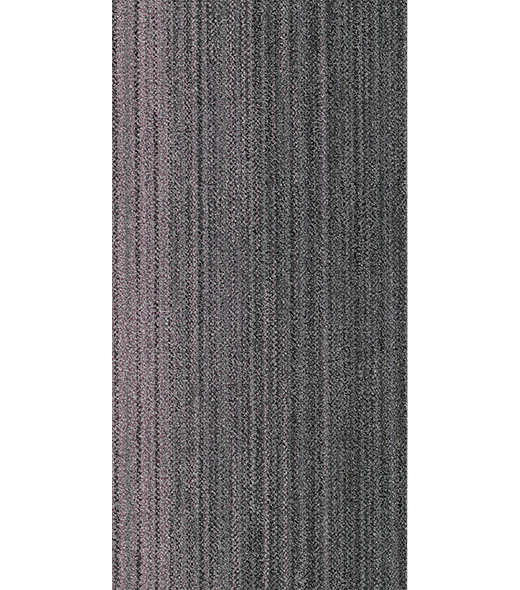 RAY300449