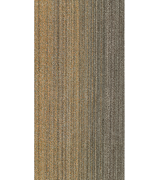RAY300445
