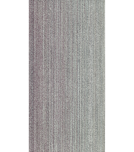 RAY300446