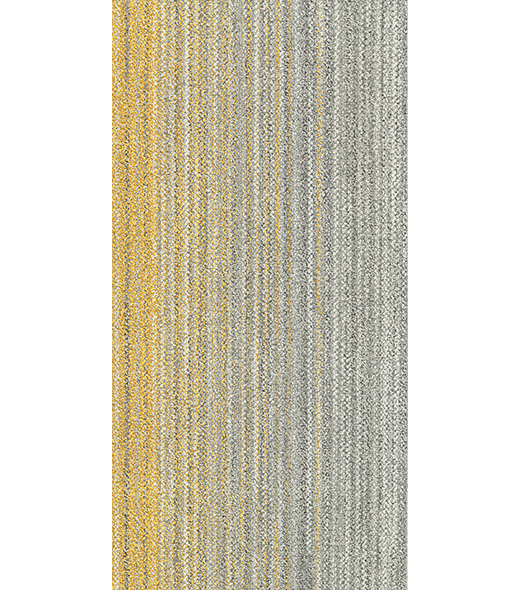RAY300441