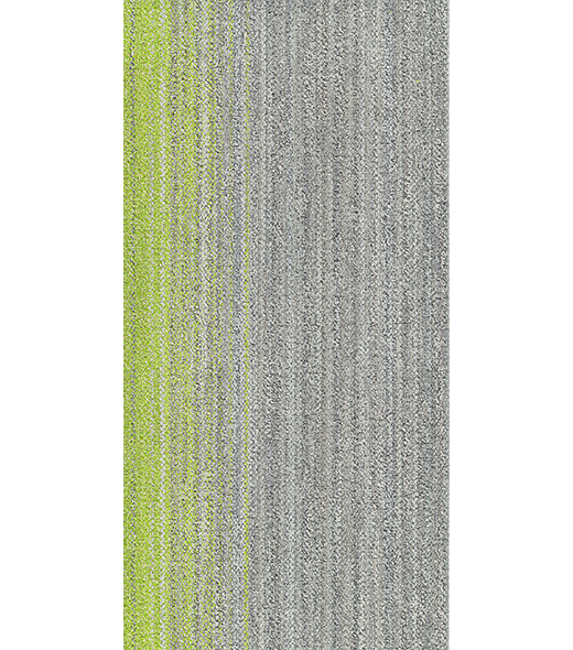 RAY300451