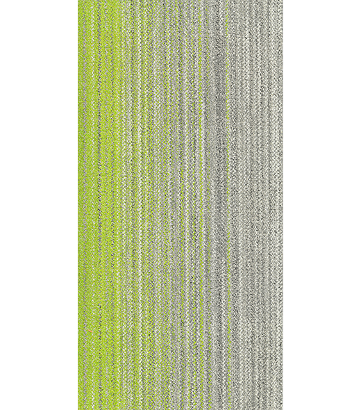 RAY300450