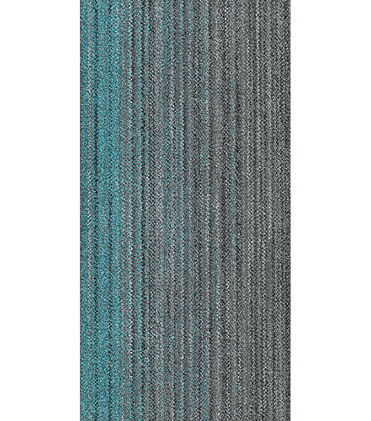 RAY300456