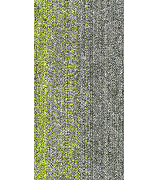RAY300452