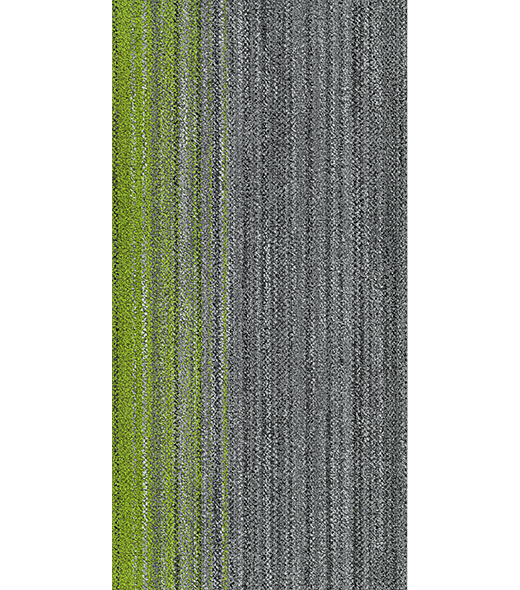 RAY300453