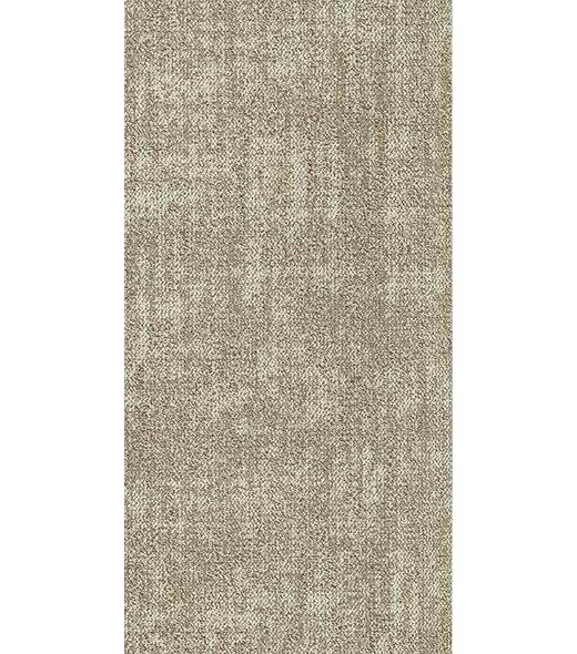 KNT300405