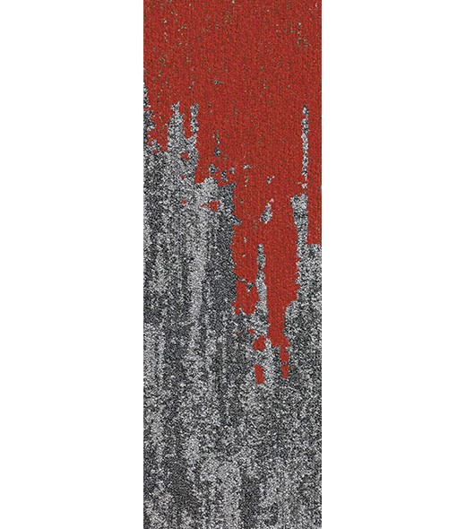 N12137