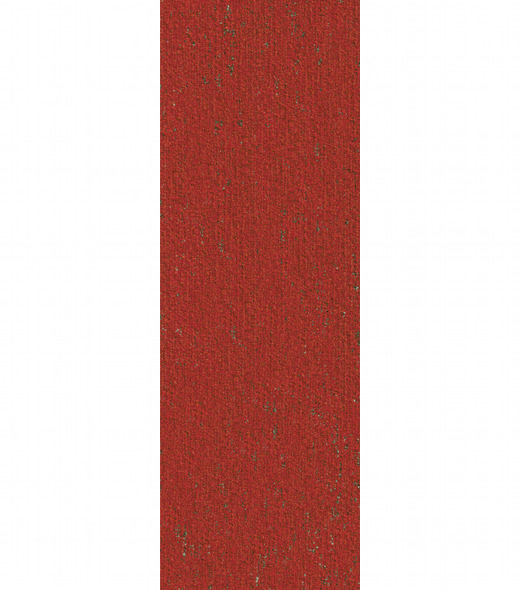N12127