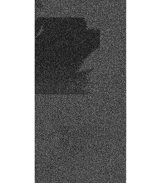 BRF300990