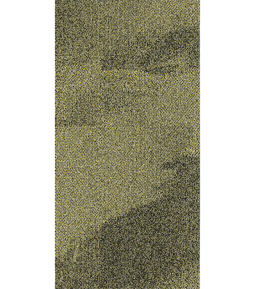 BRF300993