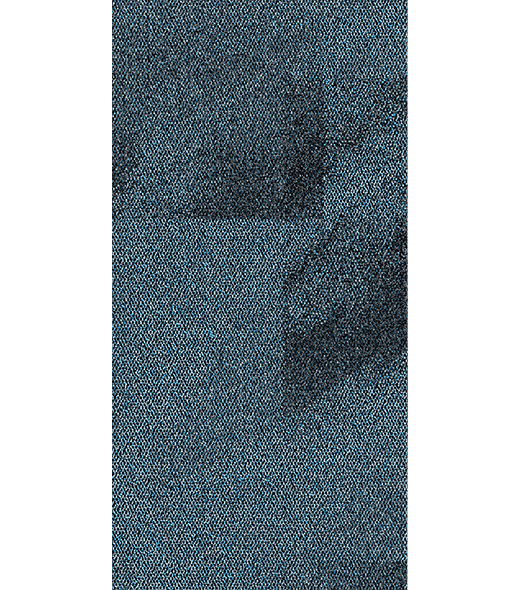 BRF300996