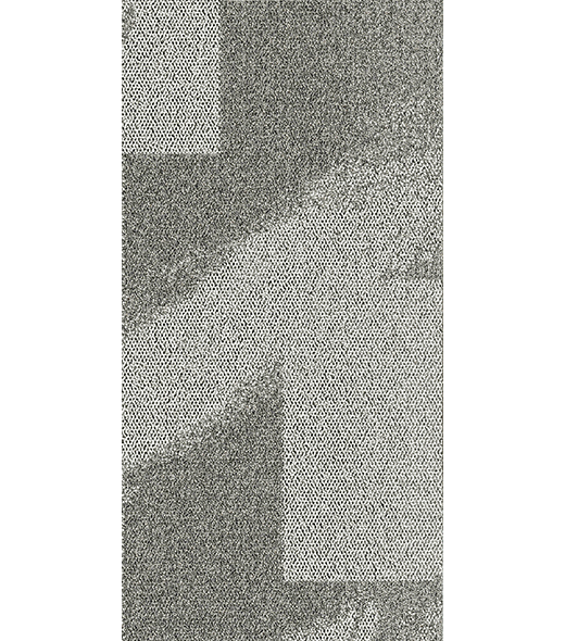 BRF300984