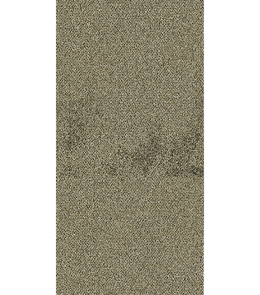 BRF300991