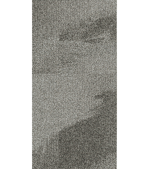 BRF300986