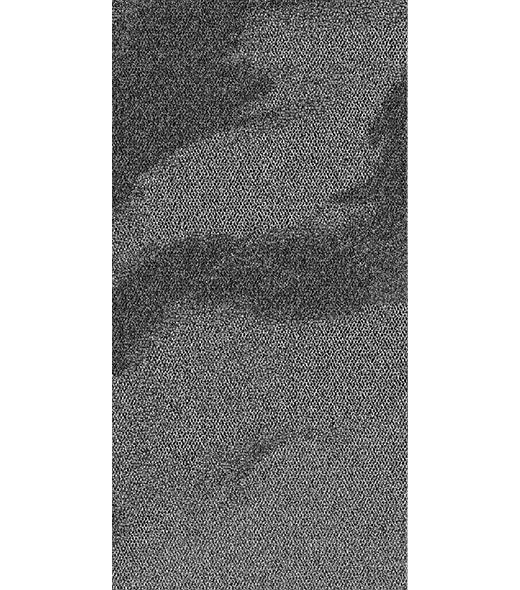 BRF300989