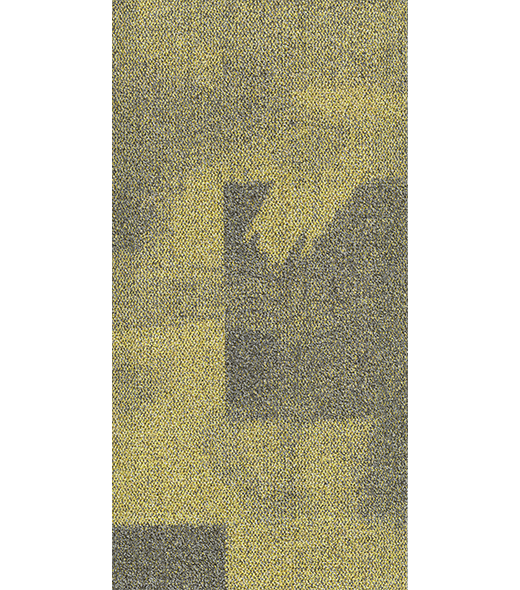 BRF300992
