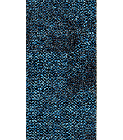 BRF300997