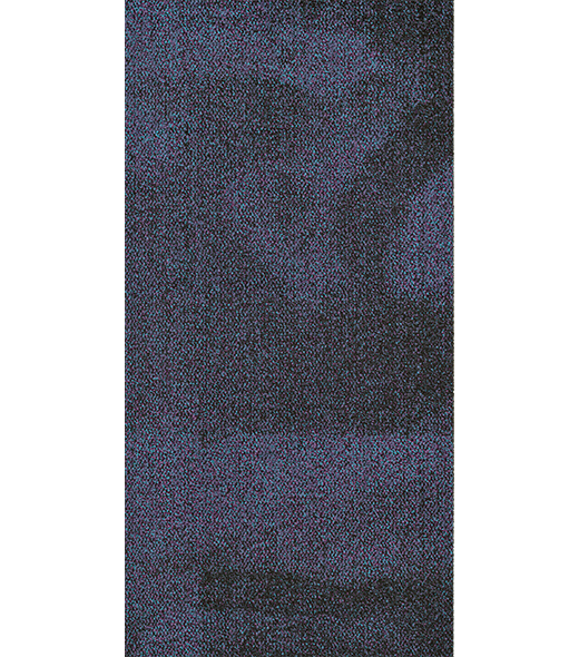 BRF300998