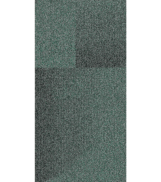 BRF300995